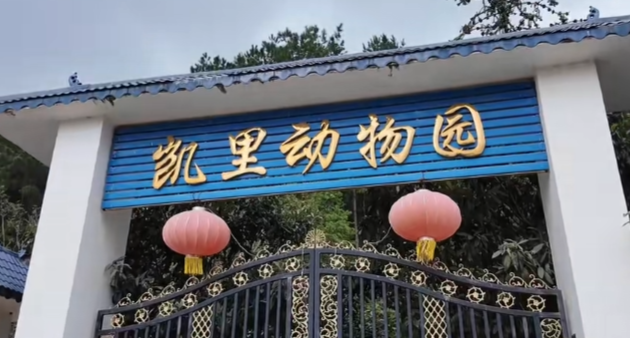 深山動物園負責人回應有遊客逃票 ：沒啥，少收兩個錢，高興就好