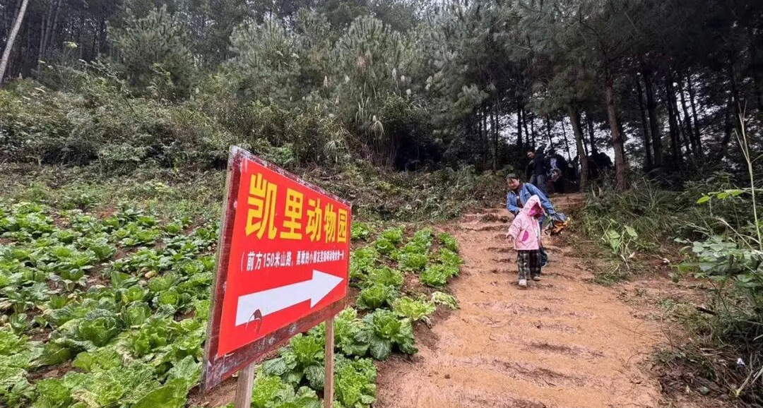 动物园走红引捐款，70 岁园长喊话：别捐了，我们能养好动物