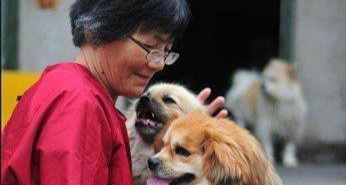 卖房救助 600 多条流浪狗的魏阿姨走了，上百人来送行