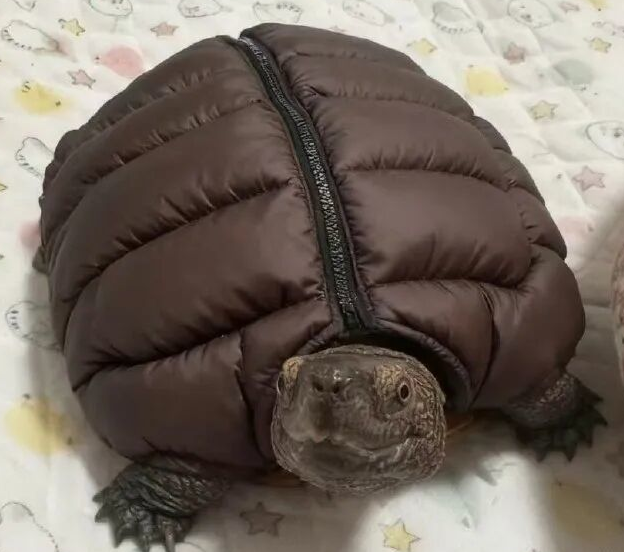 男子被I0086短信骗走7000，好怪，赶紧看一眼我的短信…