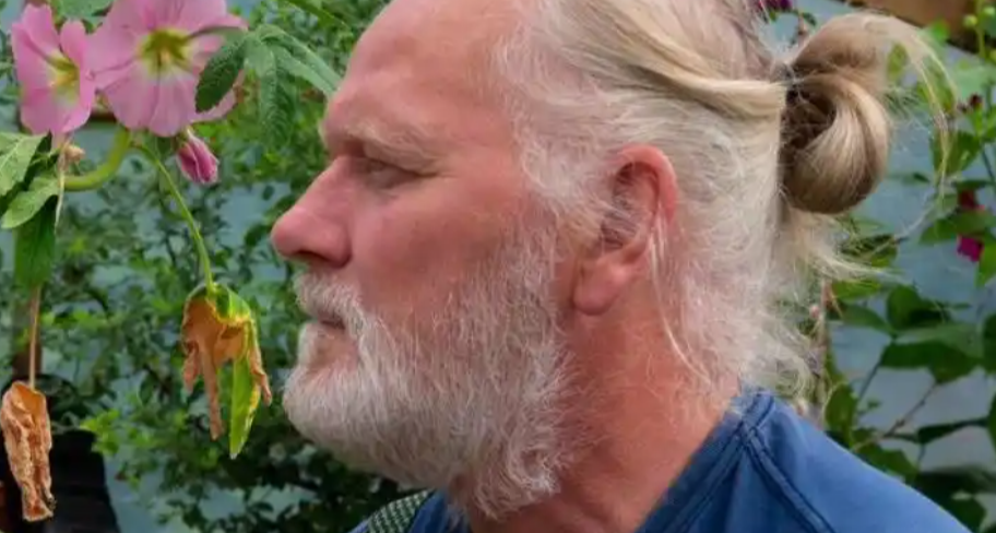 “全球唯一无蚊国”沦陷，冰岛发现蚊子！蠓来对手了