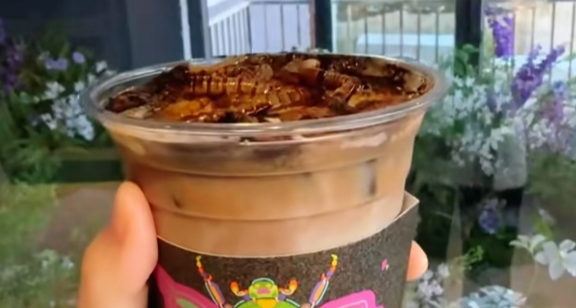 北京一博物館推出“蟑螂咖啡”，1 杯 40 元，你敢喝嗎？