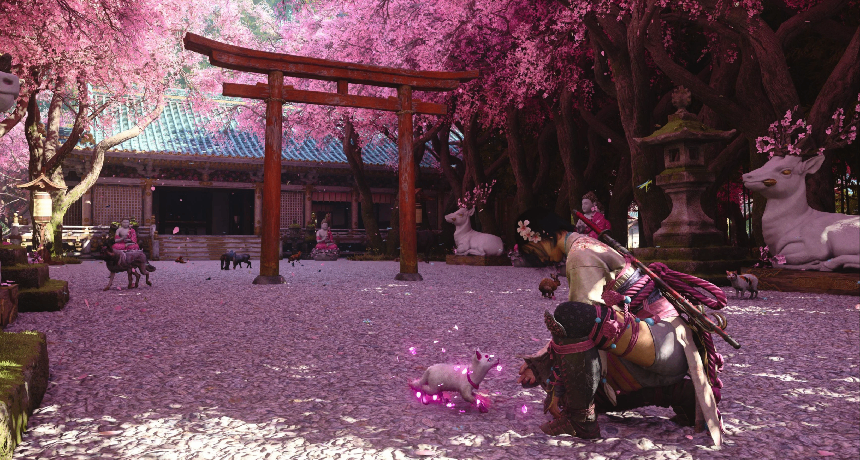 《刺客信條：影》本週免費兌換：奈緒江櫻花短刀！！