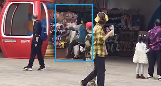 长隆回应女子带狗上缆车被拒崩溃打砸：早已明确标注禁止入内