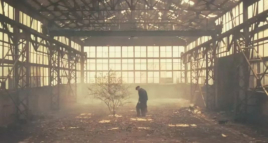 2024年11月往日记录