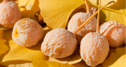 这也行？29.9 元可网购 100 片银杏叶，有商家已卖 500 多单