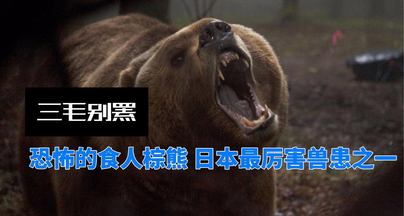 日本的三毛别罴事件是怎么回事【梗解析】