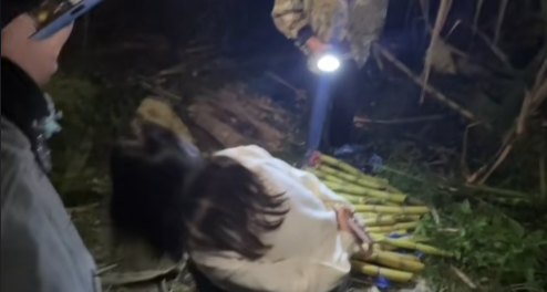 四川眉山一店家开启“偷甘蔗” 副本，NPC 带狗追逃玩出新鲜感