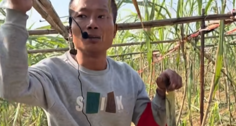 偷甘蔗農場主理人忙到一天睡 2 小時，村裏小孩自願當 NPC 抓人