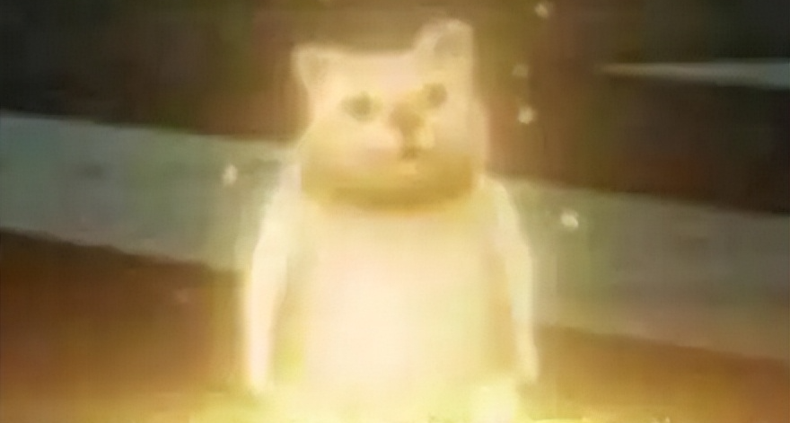 主線里加上古老梗的屑策劃？新版本最強智鬥把所有人氣笑了