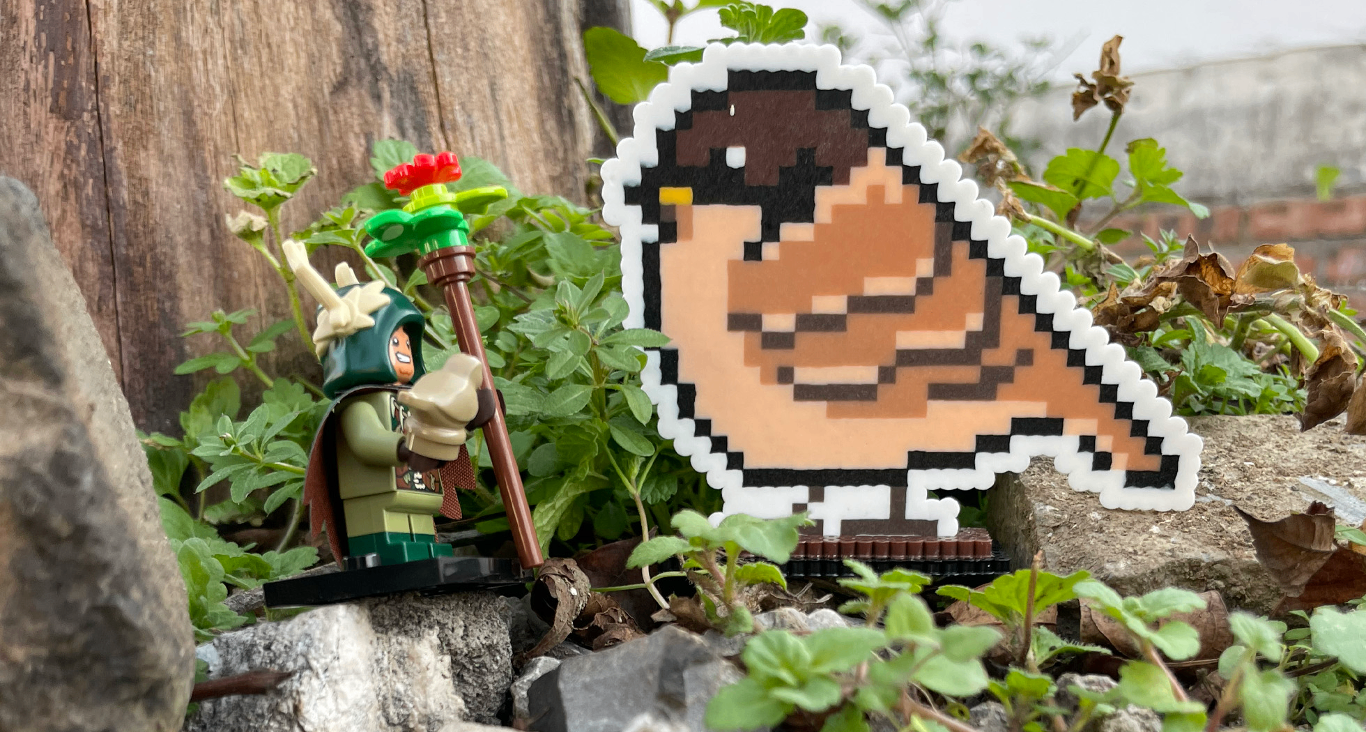 【抽奖】《观鸟笔记》来抽奖啦！让小鸟变成拼豆立牌陪在你身边