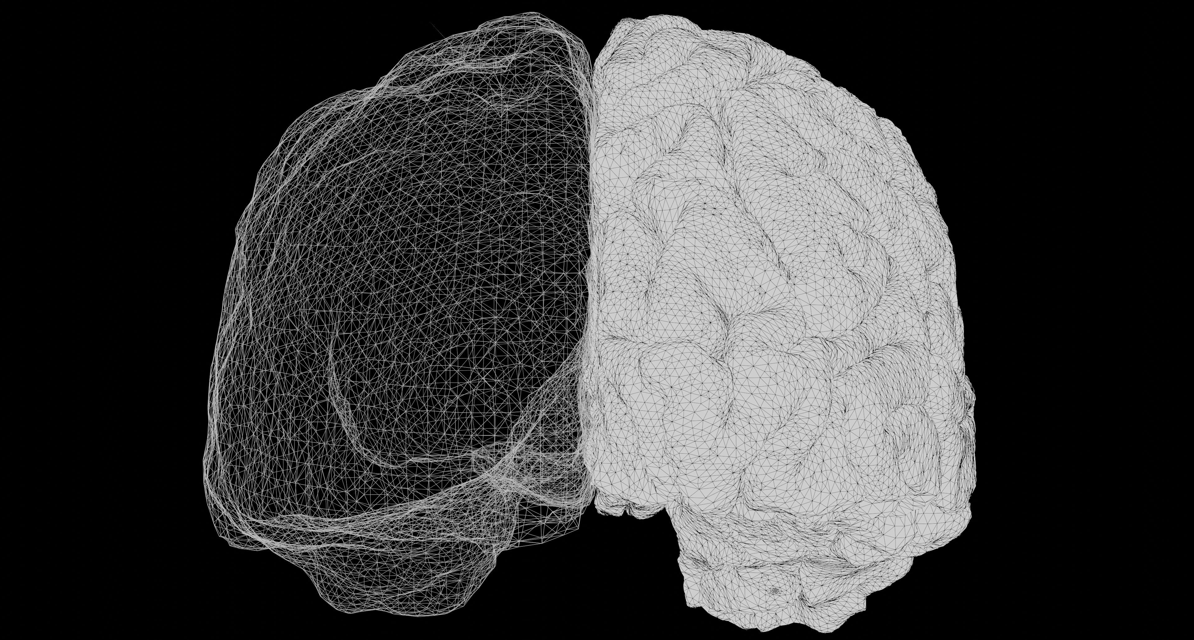 你需要多少大脑才能生存？
