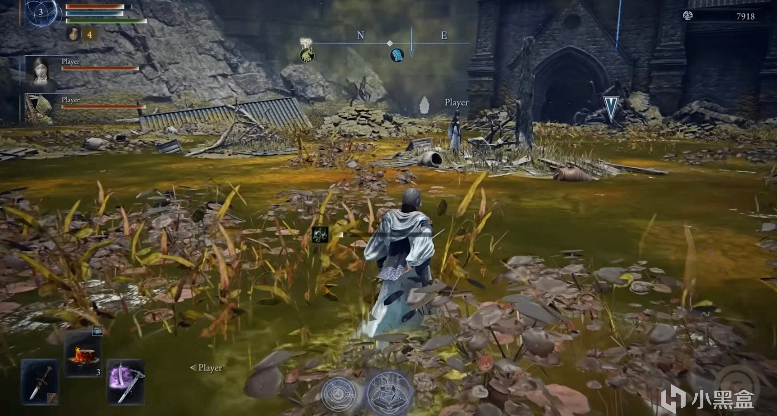 《艾尔登法环：黑夜君临》新DLC将实装毒沼地形