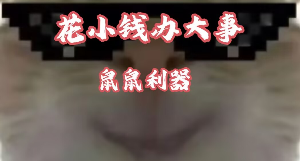 【三角洲行動】高性價比平民神器第二期！花小錢辦大事，鼠鼠利器