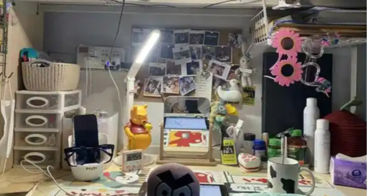 焚決！不要在PDD直接下單了，7 步教你最低價買到心儀產品