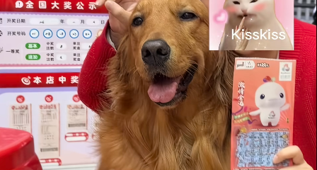 谁说养狗没用？女子用狗爪刮中 1 万元奖金，女子：买了蛋糕奖励