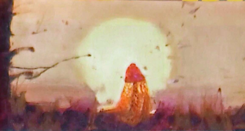 帶給我童年陰影的“罩紗女人”卻忍不住一遍遍翻看