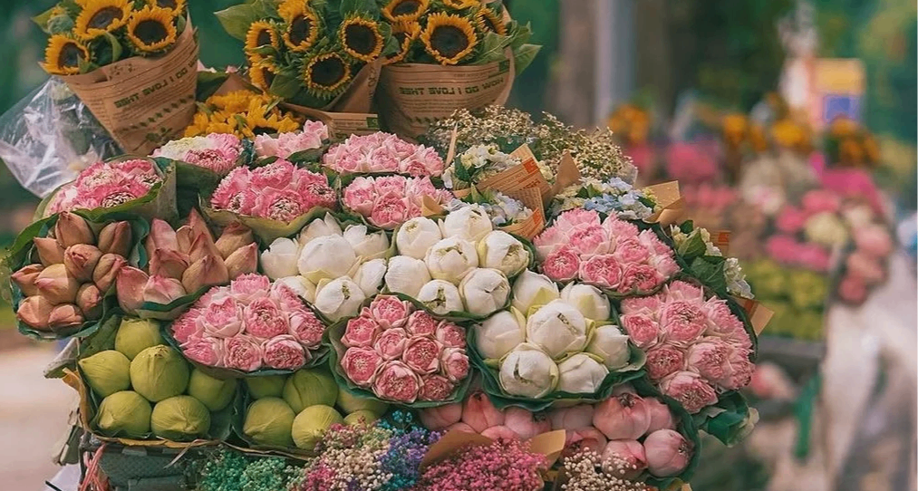 35年前，我是通過一篇漫畫了解雲南的