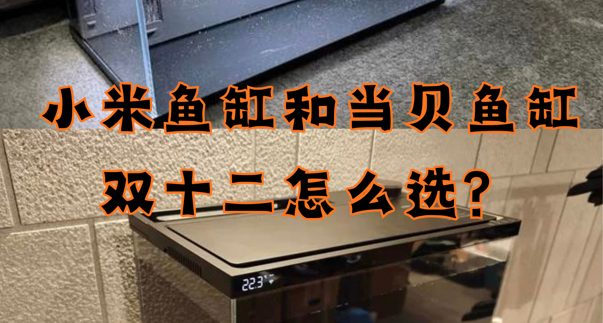 打造桌面水族館：小米和當貝魚缸誰的顏值更高？實拍對比來了