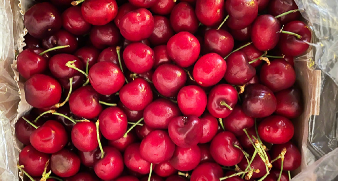 流口水！近 8000 噸車釐子來了，中國人喫掉智利超 9 成車釐子