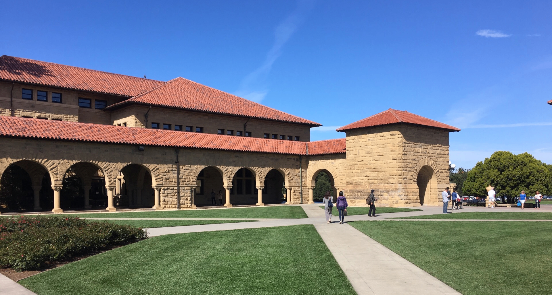 名校“殘疾潮”：斯坦福38%本科生竟是“殘疾”？！