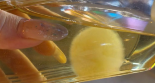 罕见！年轻人用东方树叶养茶菌当宠物，农夫山泉客服回应