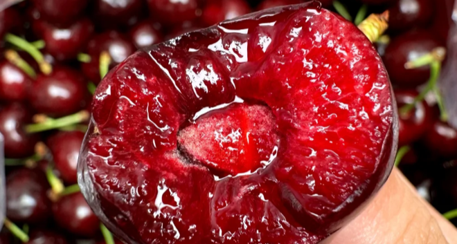 10 斤车厘子批发价从 1700 元降至 500，网友：终于可以多买了