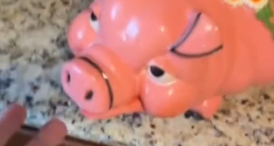 女子淘二手存钱罐意外发现 2028 美元，网友：谁让店家没检查