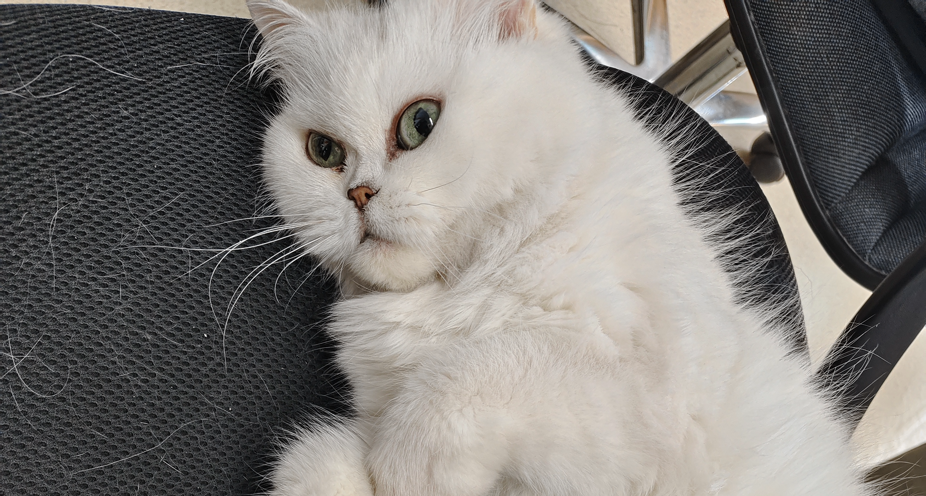 打擾一下🙏這是我家孩子