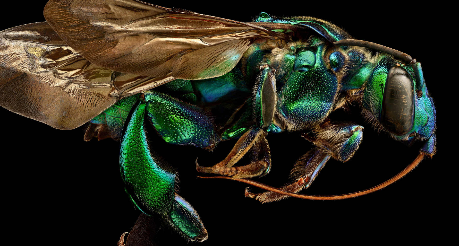 那些有趣好玩的小網站，一鍵收藏