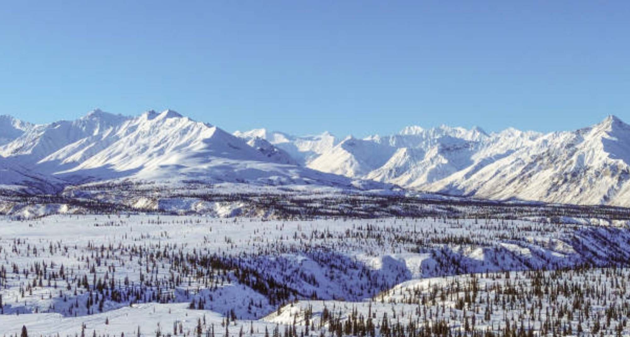 連恐怖作家都不敢寫的地方：阿拉斯加到底有多不適合人類？