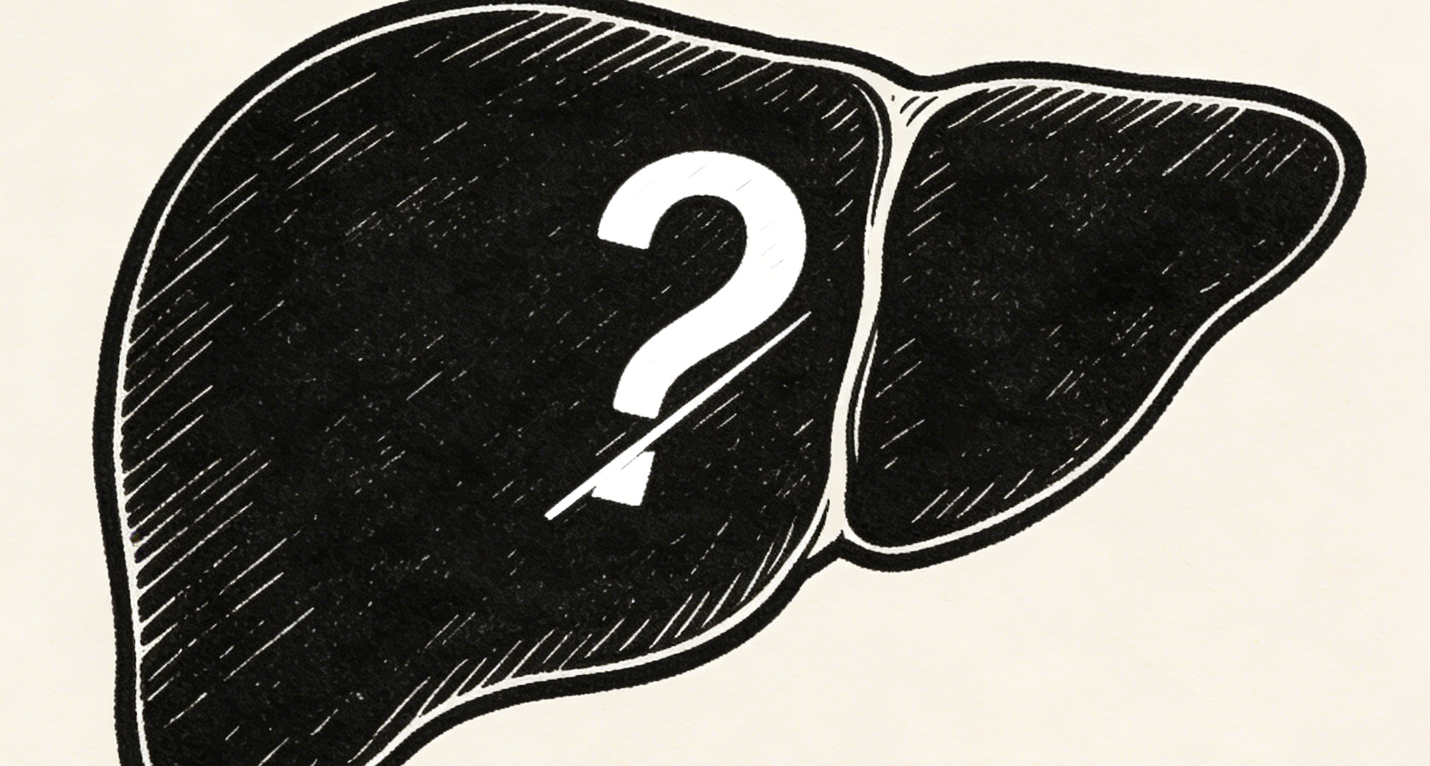 【冷百科】人體中有沒有器官可以做到切掉一半之後還能長回來呢？