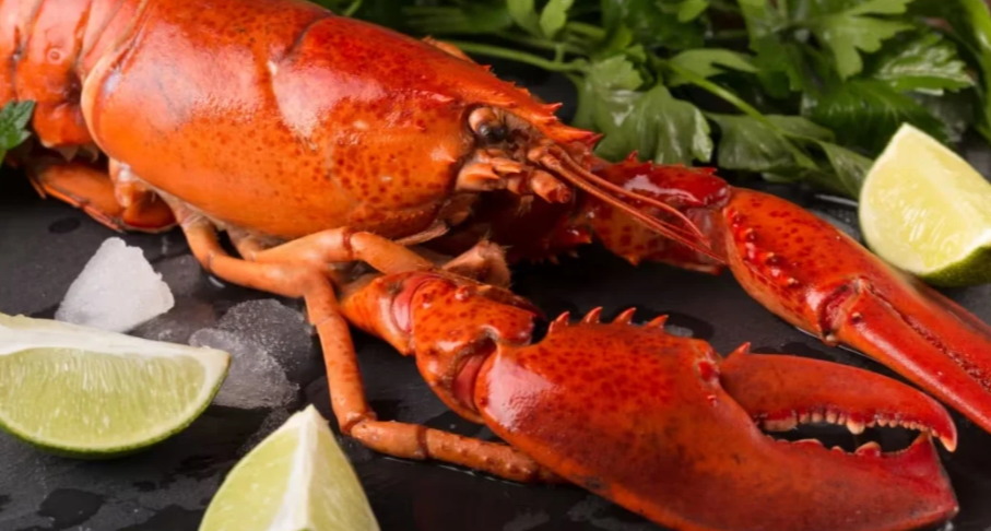 英国将禁止将活龙虾直接投入沸水烹煮，必须先冷冻或使用电击装置