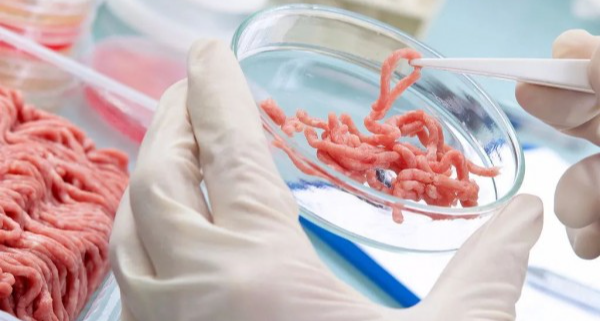 【冷百科】既然癌细胞可以无限增值，那么它可以做成食物吗？