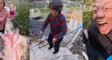 最新的顶级智斗爽剧，是钓鱼佬贴脸嘲讽放生大姨