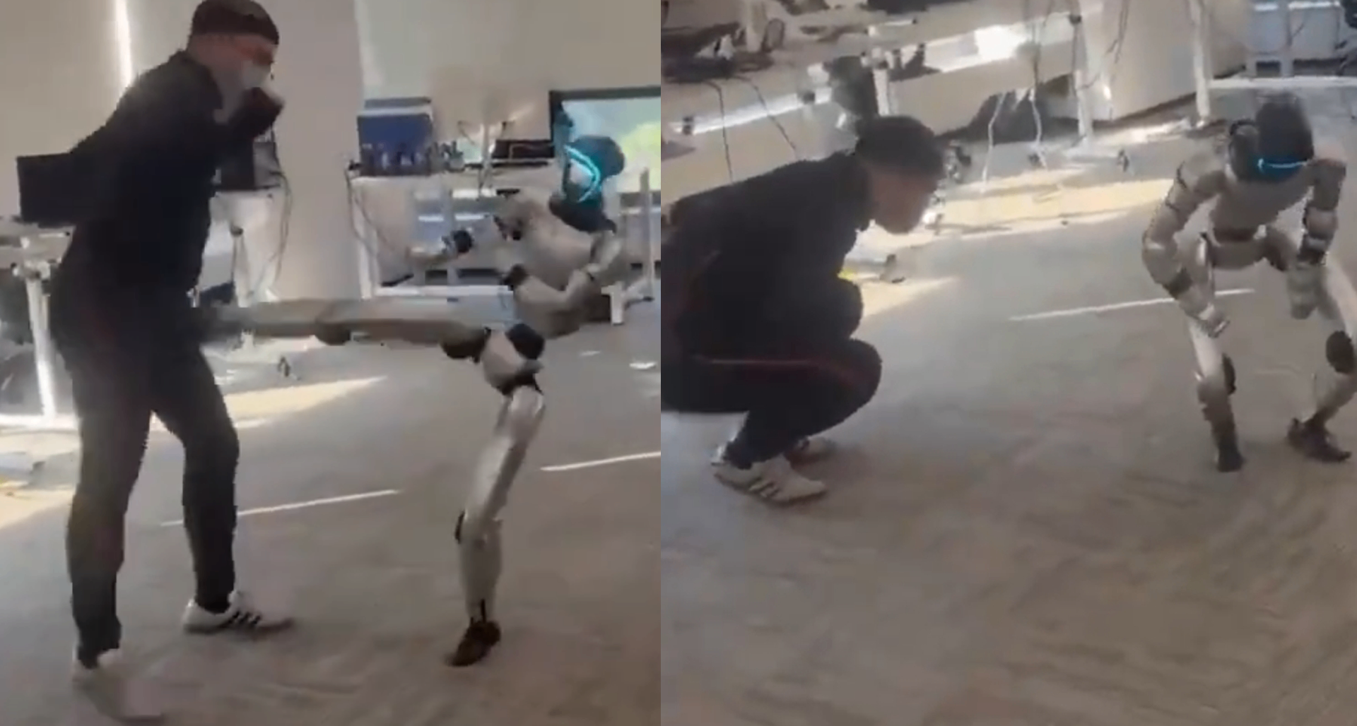 哈哈哈，不能只让我肚子疼！哈哈