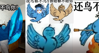 糊得包浆的“我鸟都不鸟你”表情包怎么成了不少网友的赛博嘴替？