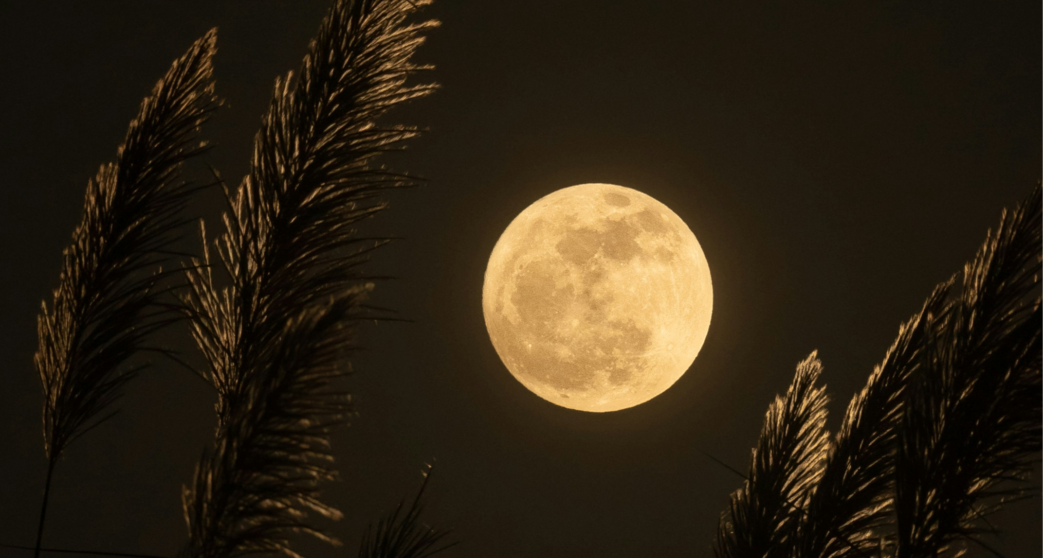 月球正在生鏽，而這都是地球的錯