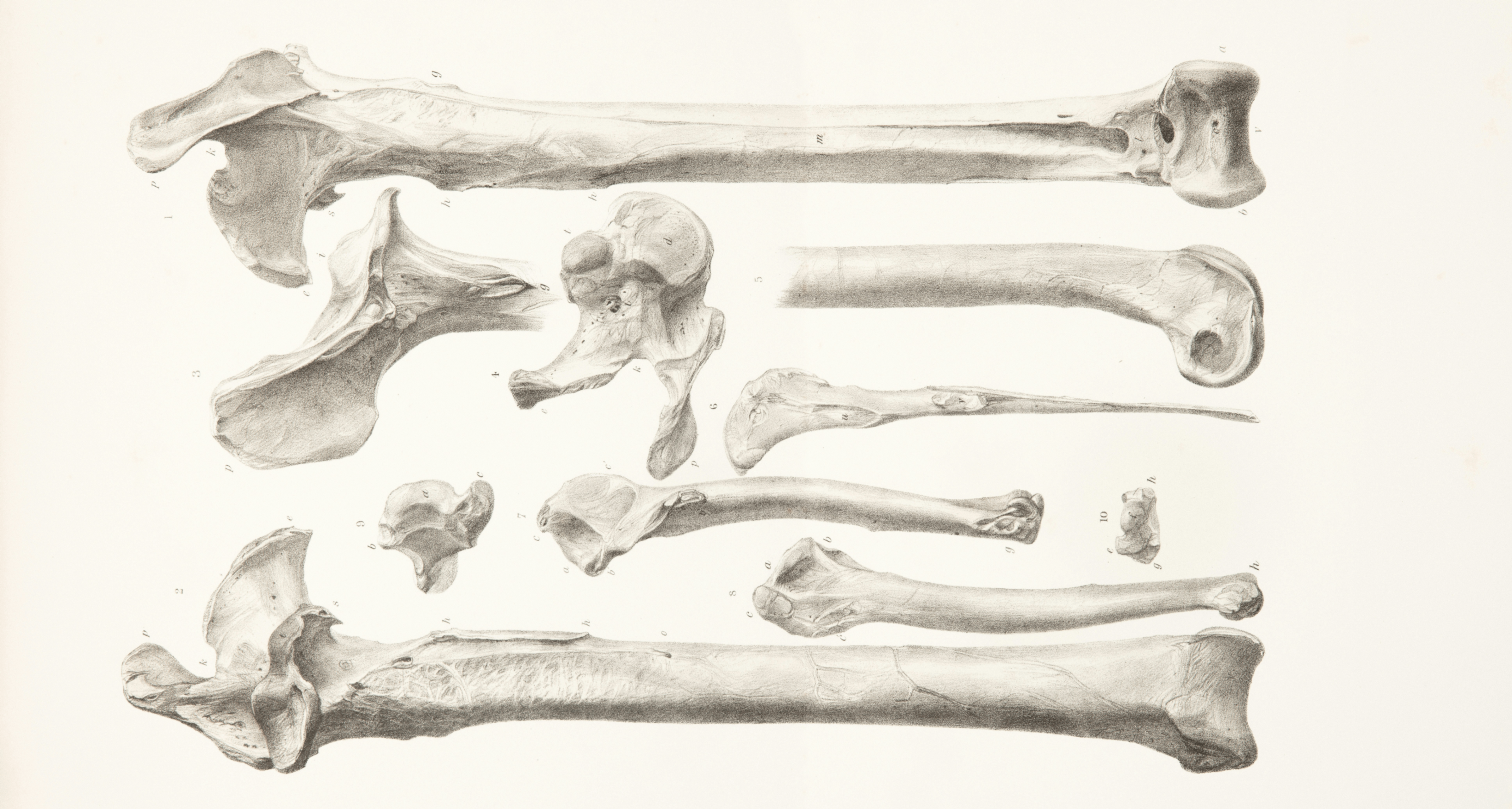 你願意爲了讓自己長高几釐米而甘願打斷雙腿嗎？