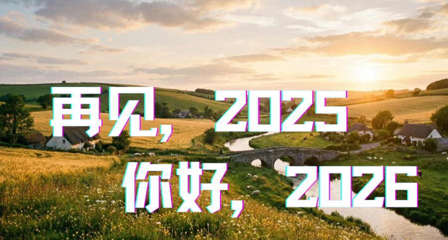 2026-史上最疯狂的一年