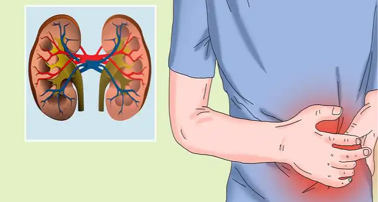 腎不好的人，應該少喫哪些菜？