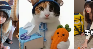 現在互聯網上最火的貓，從“耄耋”變成了“蘿蔔紙巾貓”