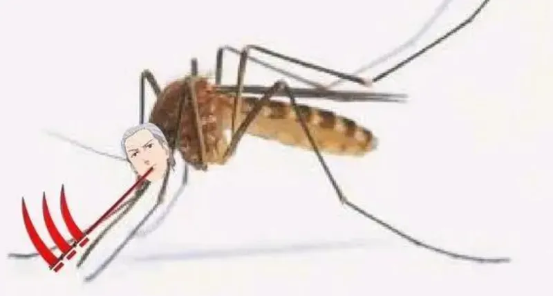 盤點火影的最強概念神（中）