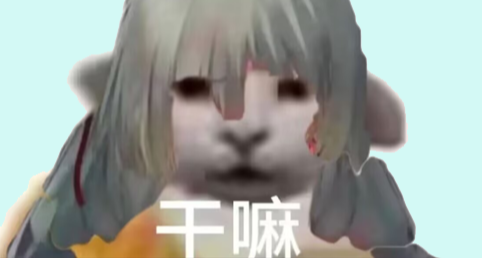 【鸣潮】何意味？库洛怎么就盯着我们弗洛洛欺负啊！