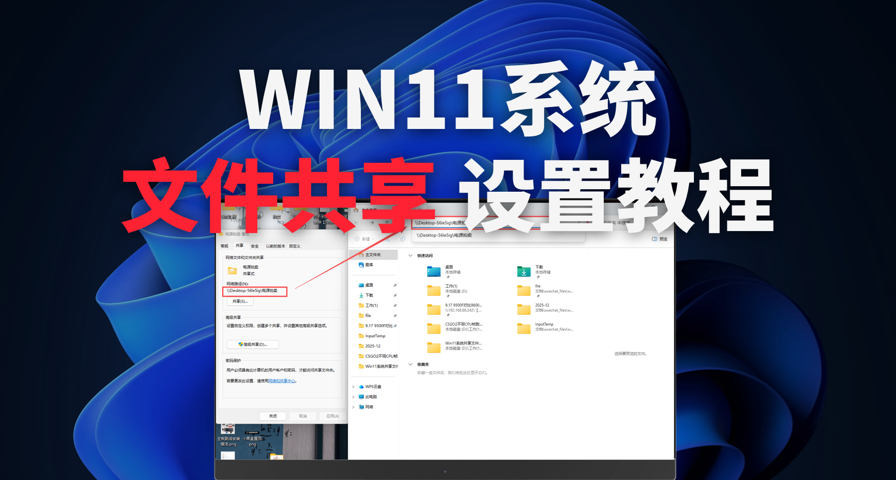 win11系统文件共享设置教程