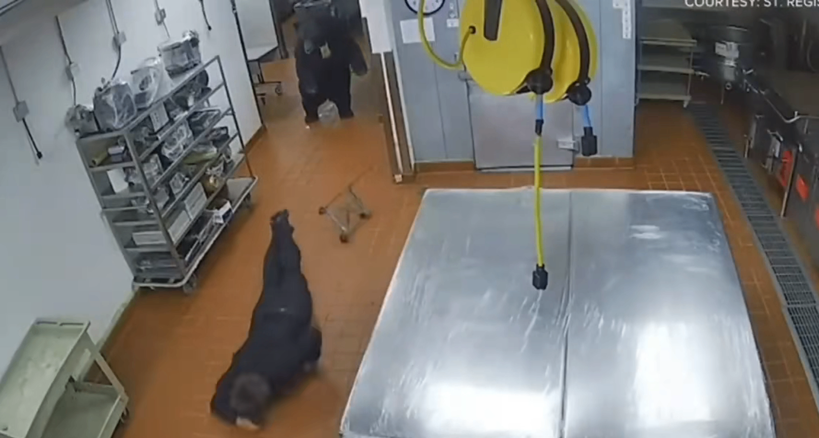 不是！你管这叫小偷？