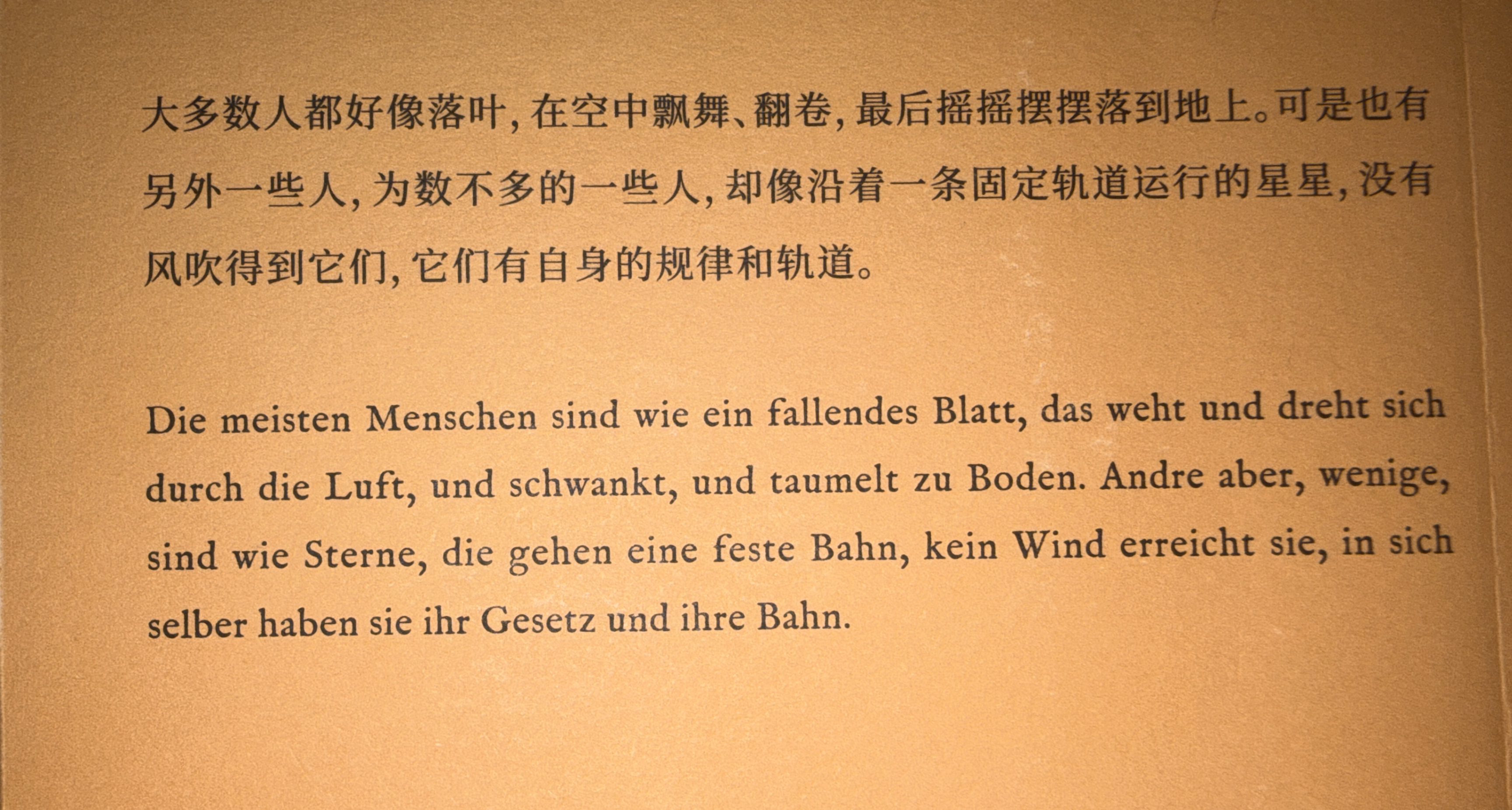 《悉达多》——【幸运的是，你我都不是落叶，当然也不会是星辰】