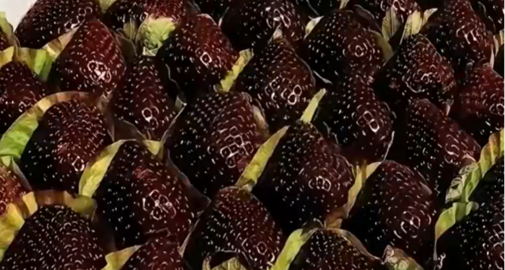 黑草莓上市，售價高達160元一斤令人咋舌