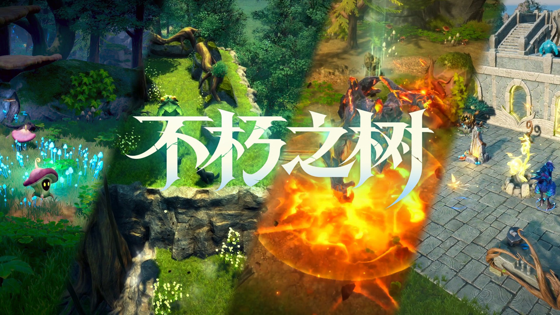 回粉前300位粉丝！请关注《不朽之树》，我们想要认识大家