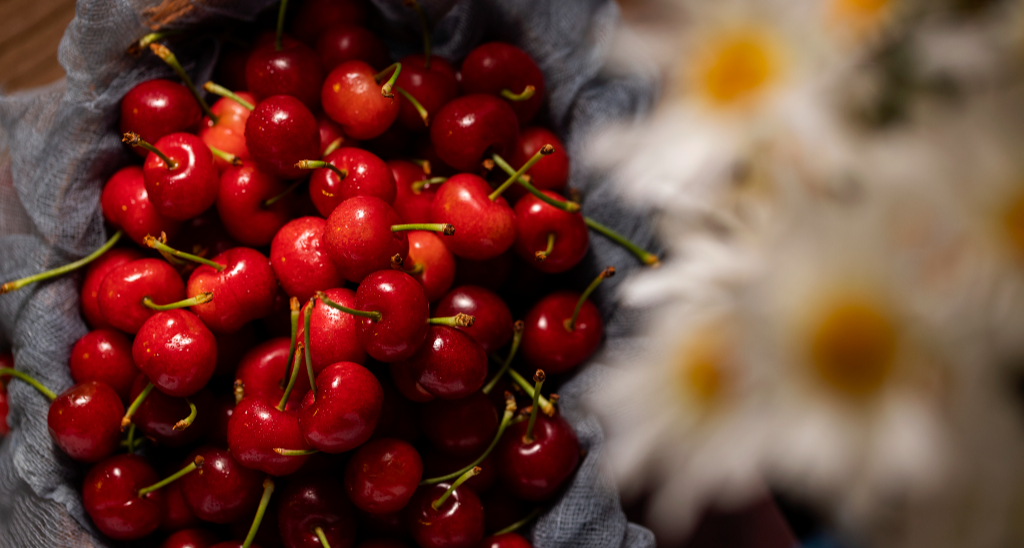 硬核知识！智利车厘子为什么能加入年货套餐？